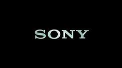 Sony logo (2021)