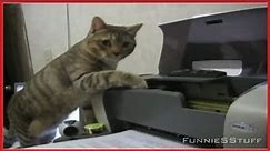 The Best of Cats vs. Printers Compilation