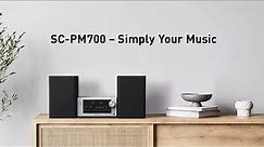 Panasonic SC-PM700 Micro System