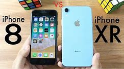 iPHONE XR Vs iPHONE 8! (Should You Upgrade?) (Speed Comparison) (Review)