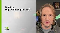 What Is Digital Fingerprinting?