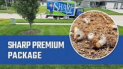 All You Need to Know About the Sharp Premium Package