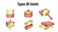 Types Of Joints in the Human Body - GCSE PE