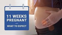 11 Weeks Pregnant What to Expect