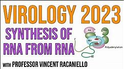 Virology Lectures 2023 #6: Synthesis of RNA from RNA