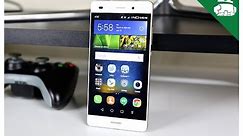 Huawei P8 Lite Review!