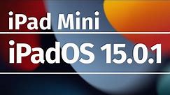 How to Update to iPadOS 15.0.1 - iPad mini
