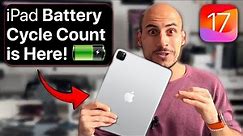 How to Find EXACT iPad Battery Cycle Count!