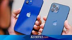 Harga iPhone 12 Series Januari 2022, Terbaru Turun Rp 3 Juta
