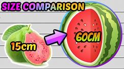 COMMON FRUITS SIZE COMPARISON - ALL SIZE COMPARISON