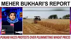 Farmer's Fury: Punjab Faces Protests Over Plummeting Wheat Prices | Meher Bukhari's Report