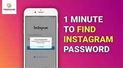 How to Recover Instagram Password without Email or Phone Number