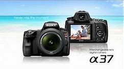 Sony Alpha A37 SLT Camera