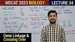 MDCAT Lecture Gene Linkage and Crossing Over explain in URDU/Hindi 2023