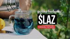 Polska niebieska herbatka ziołowa. Ślaz dziki (Malva sylvestris). Czajnikowy.pl