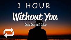 [1 HOUR 🕐 ] David Guetta - Without You (Lyrics) ft Usher