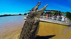 BIGGEST Crocodiles In The World!