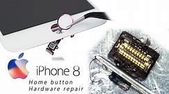 DIY iPhone 8 Home Button Touch ID Hardware Repair / Home- und Touch-ID-Reparatur