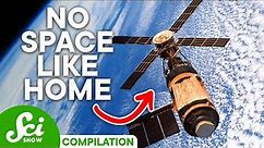 What Makes a Home...A Home? | SciShow Compilation