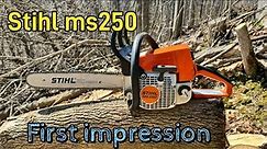 BEST HOMEOWNER SAW?? Stihl ms250 chainsaw