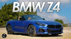 BMW Z4 | Under Rated and Forgettable