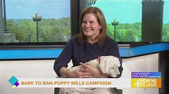 Sponsored: Learn about the Bark To Ban Puppy Mills Campaign