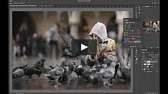 Photoshop and Lightroom Basic Collection (PL)