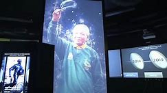 Dual Image Projection Screens at World Rugby Hall of Fame