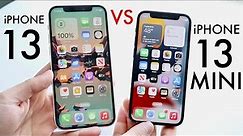 iPhone 13 Vs iPhone 13 Mini In 2022! (Comparison) (Review)