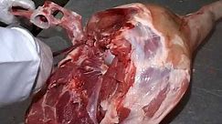 Rozbiór półtuszy wieprzowej i klasyfikacja mięsa - pierwszy film technologiczny WB, Rok 2006, Cz. 1.