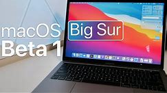 macOS Big Sur Beta 1 is Out! - What's New?