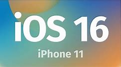 How to Update iPhone 11 to iOS 16 | iPhone 11 Pro | iPhone 11 Pro Max