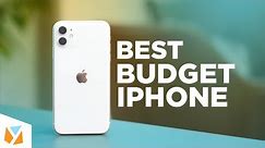 THE BEST BUDGET iPhone???