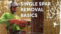 Spar removal basics | SRT tree climbing tutorial | Arborist How-to