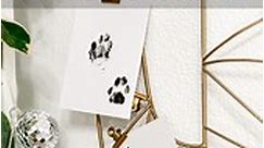 Easy Way to Get Your Cats Paw Print! #cats #pets