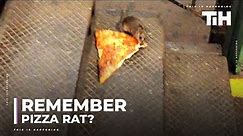 Remember Pizza Rat?