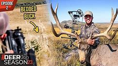 Mark Drury's Post Season Strategy, Wade's GIANT Mule Deer In Alberta | Deer Season 23