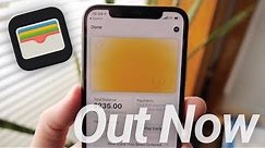Apple Card Released! How To Get It First