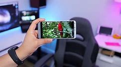 Samsung Galaxy S8+ vs Google Pixel XL vs LG G6 vs iPhone 7 Plus | Ultimate Showdown! – Видео Dailymotion