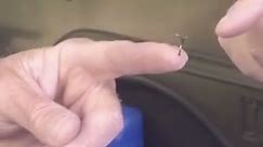 Remove fishing hook from hand with string trick