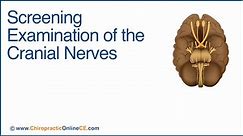 Screening Examination of the Cranial Nerves - Chiropractic Online CE