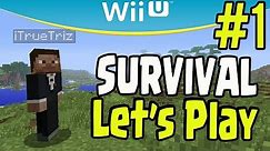 Minecraft Wii U Survival Let's Play Walkthrough Gameplay (Part 1)