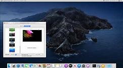 Apple Mac - macOS Catalina 10.15.5 - Flurry Screensaver