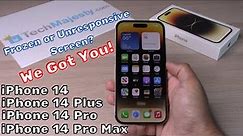 How to Fix Frozen or Unresponsive Screen: iPhone 14 /iPhone 14 Plus/ iPhone 14 Pro/iPhone 14 Pro Max