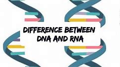 Difference between DNA and RNA |DNA vs RNA| #dna #rna #viralvideo #biology #zoology