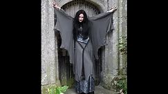 Grey Lady Lily Munster Gown - Lily Munster costume by Moonmaiden Gothic Clothing
