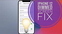 How To Fix iPhone 12 Dimmed Screen (Low Brightness, Dark Display)