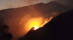 Forest fire breaks out in Sa Pa national park - VnExpress International