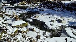 Alaska: A Year in the Wild #01 - Winter (2017 Wildlife documentary) - Dailymotion Video