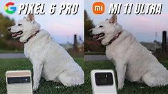 Pixel 6 Pro vs Mi 11 Ultra Camera Comparison